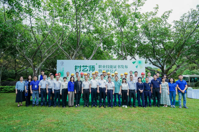 轻量版在线观看海报