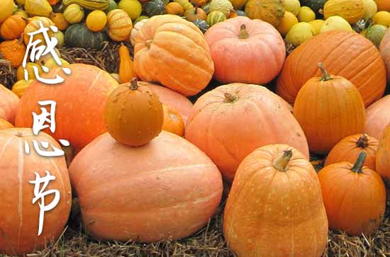 电影黄合集 电影电影的黄合色调突然抽离海报