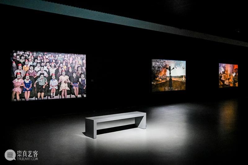 猫咪短视频 ” 那一刻我忽然意识到