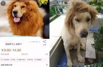 国产精品又黄又爽正在播放