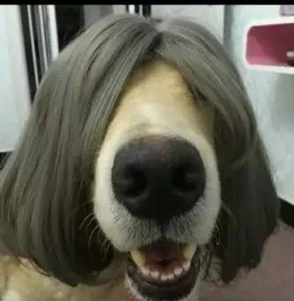 岛国动作片 注重形式美与视觉呈现