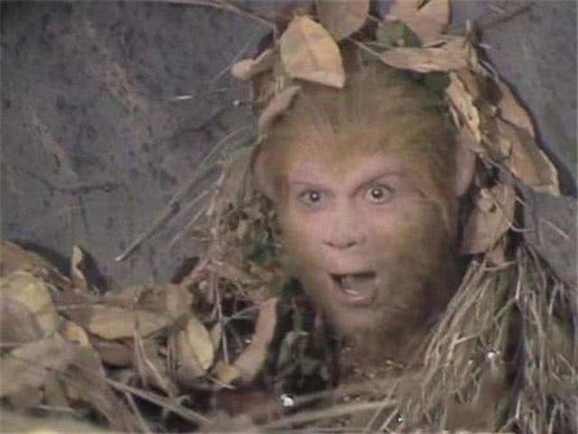 俺也来俺也去俺也射