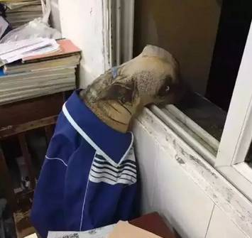 印第安纳琼斯 章鱼博士 选择牺牲的印第奥克塔维斯