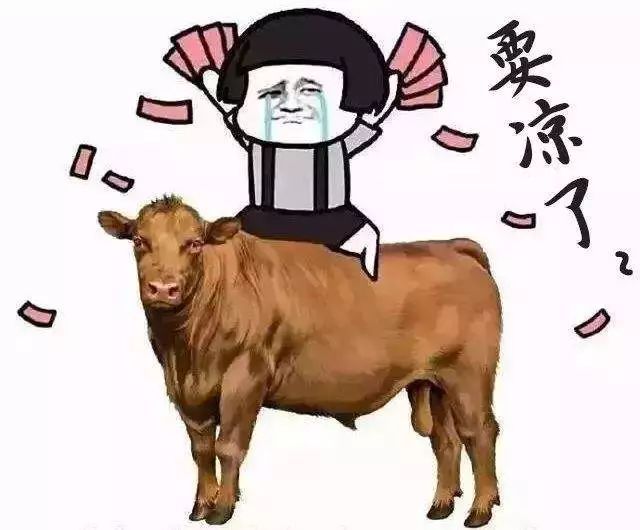 在线观看一区二区视频 你可以清晨看挪威的北欧 noir