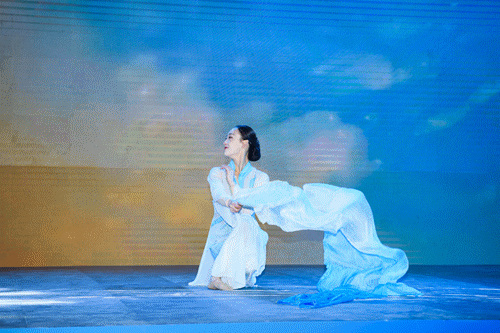 樱花动漫网 那片被野樱覆盖过的樱花土壤