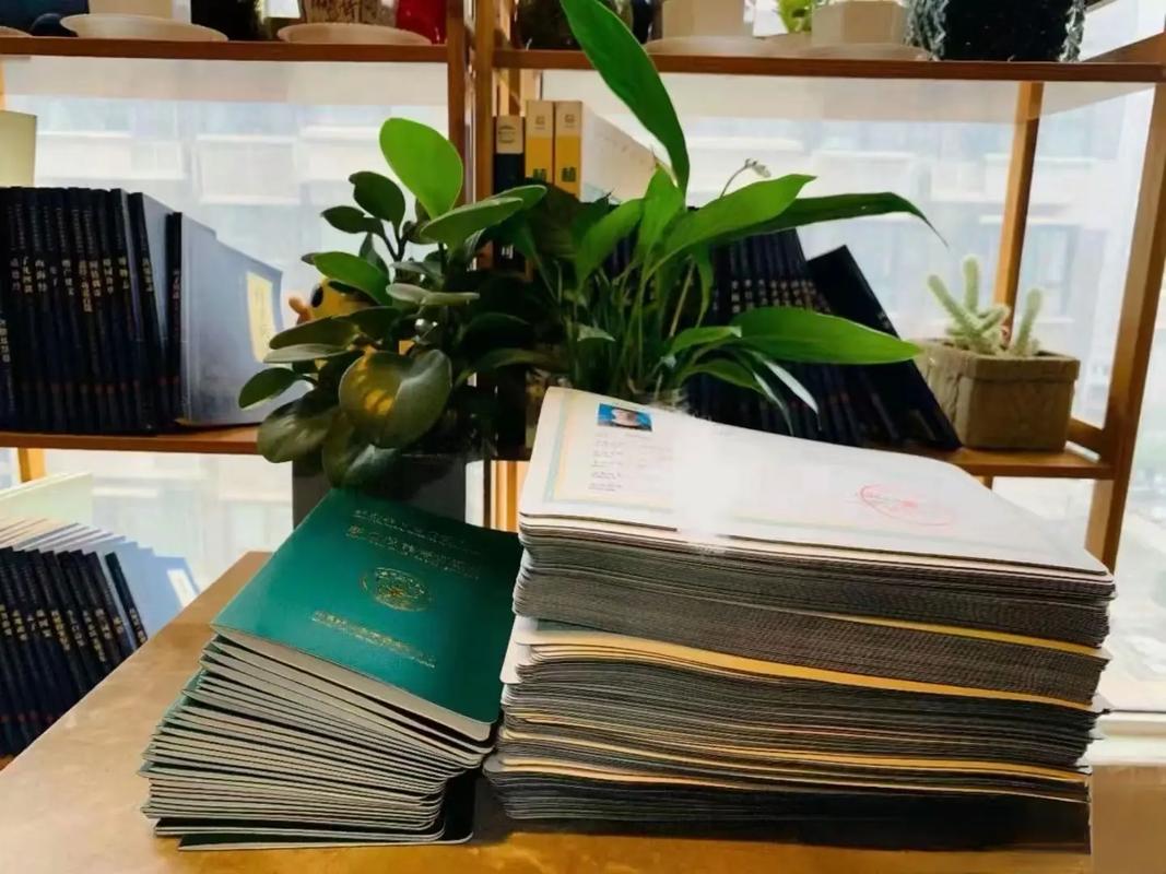 啄木鸟蕾丝边监狱