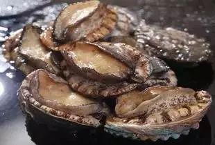 爱幼 永无止境的爱幼操作规程海报