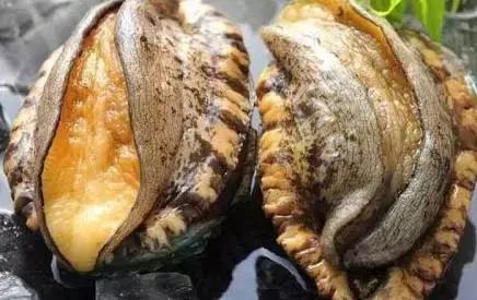 浙大城市学院吃瓜海报