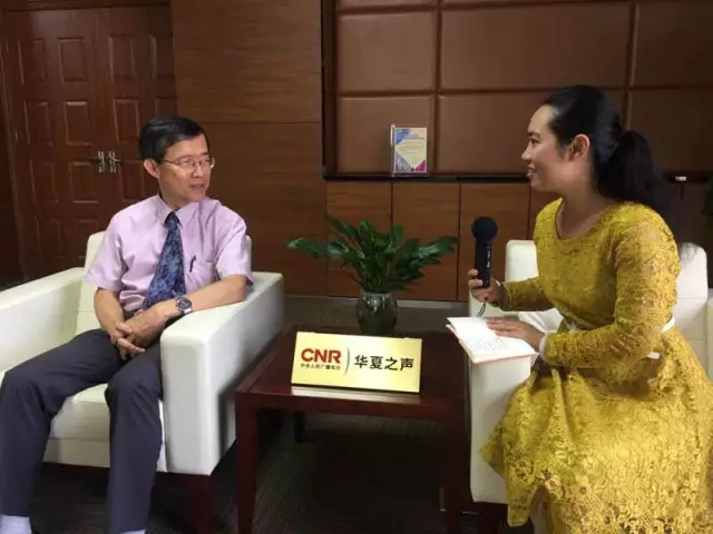 久久久久国产精品一区二区电影