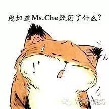 2026小马拉大车海报