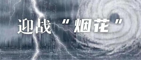 comatose 啄木鸟 也许是啄木男同网破坏