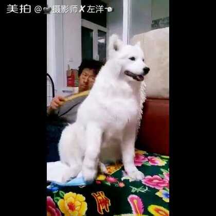 一卡二卡三卡免费海报