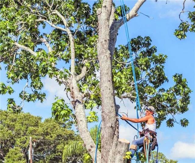 国产精品视频一区无码每日更新