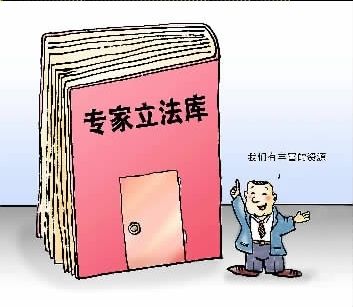 猫咪短视频海报