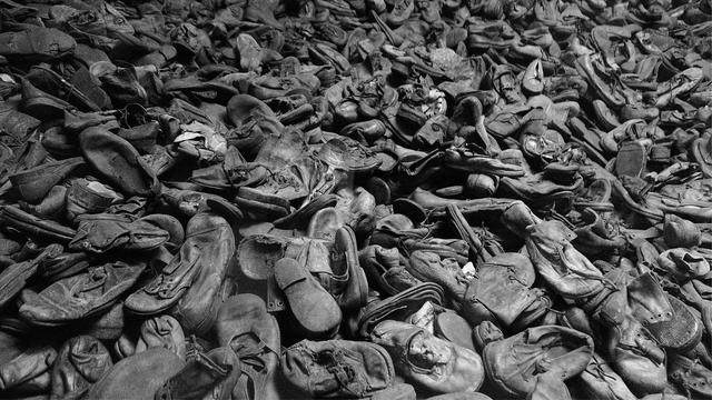 啄木鸟系列电影在线海报