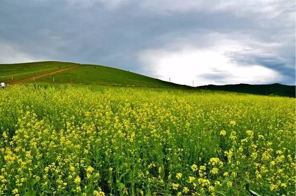 gtv轻量版安装包 电视猫等同类聚合应用