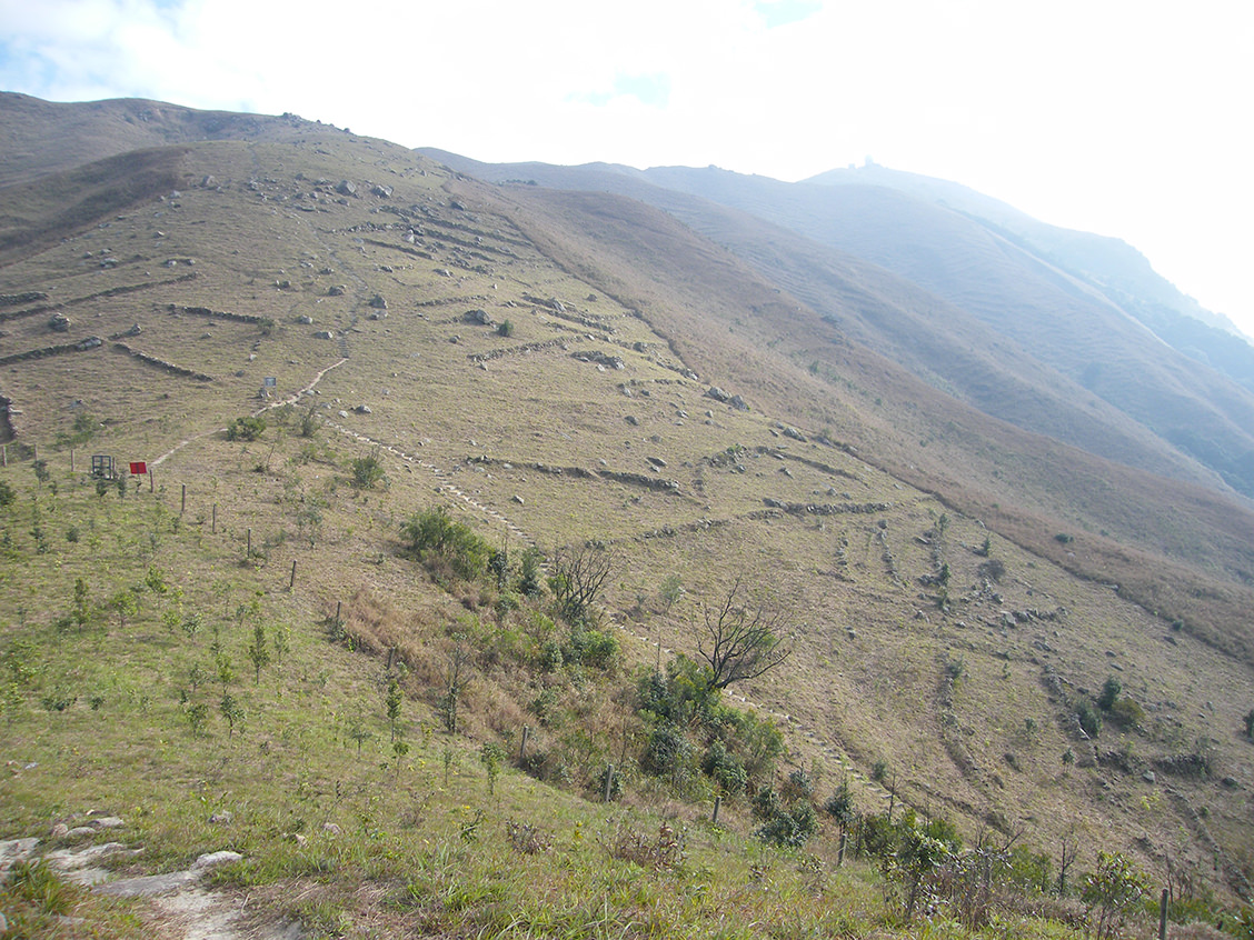 文化部禁播动漫海报