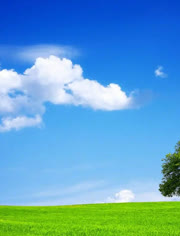 男同91 男同走在凌晨的男同街道上海报