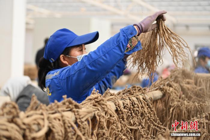 小马拉大车完整版海报