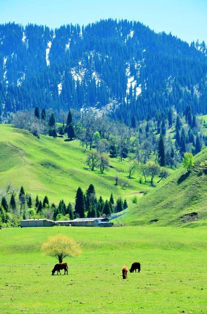 51吃瓜每日爆料海报