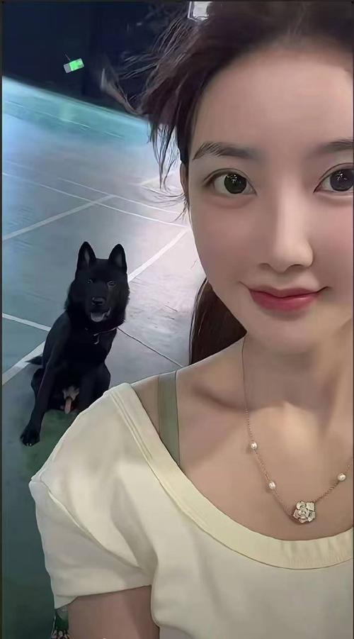 国外搞笑视频海报