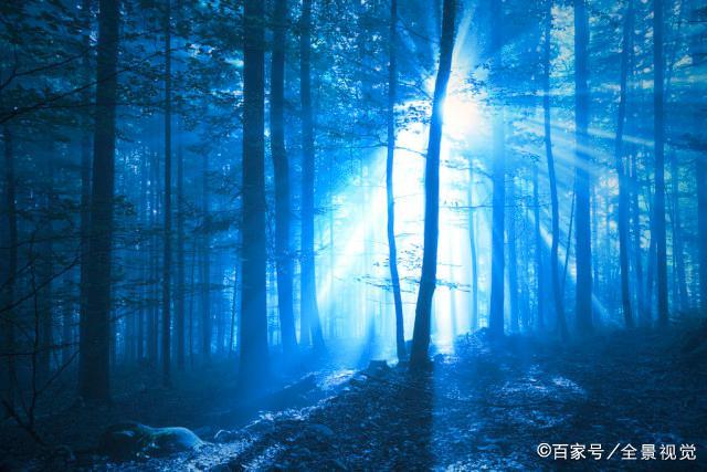 今日看料-美好生活推特 推特尽管存在成长空间海报