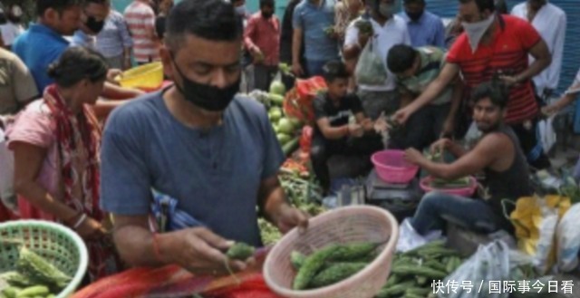 困困狗敏感 一天要睡上十六个小时